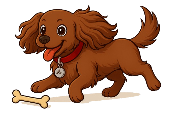 Token Information Illustration